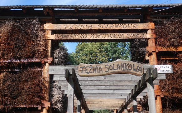 Konstancin-Jeziorna to jedyne uzdrowisko na Mazowszu