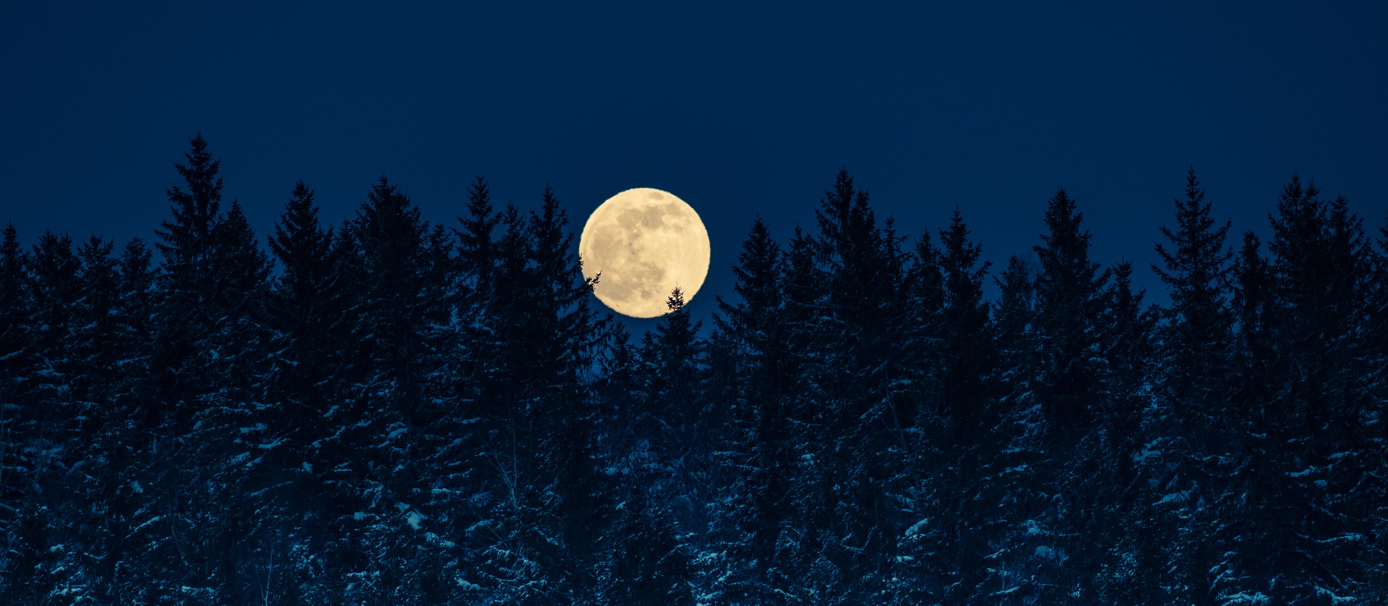 Śnieżny Księżyc rozświetli niebo nad Polską. Kiedy obserwować pełnię w lutym?
