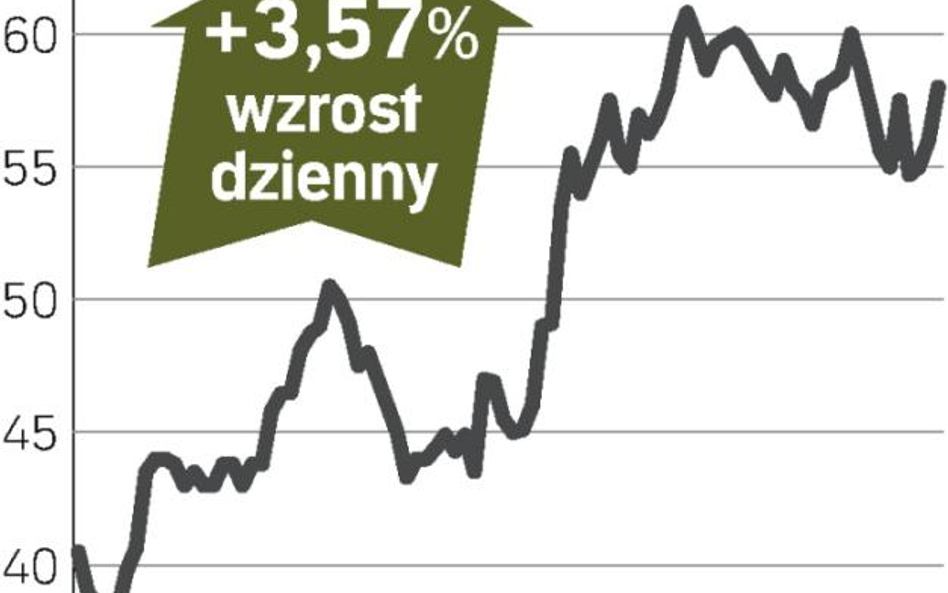 Większe zyski windują kurs