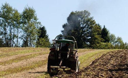 Więcej małych rolników w KRUS