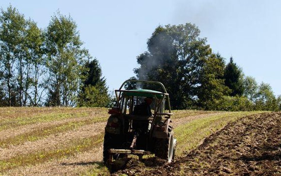 Więcej małych rolników w KRUS