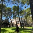Fundacja Maeght w Saint-Paul-de-Vence koło Nicei