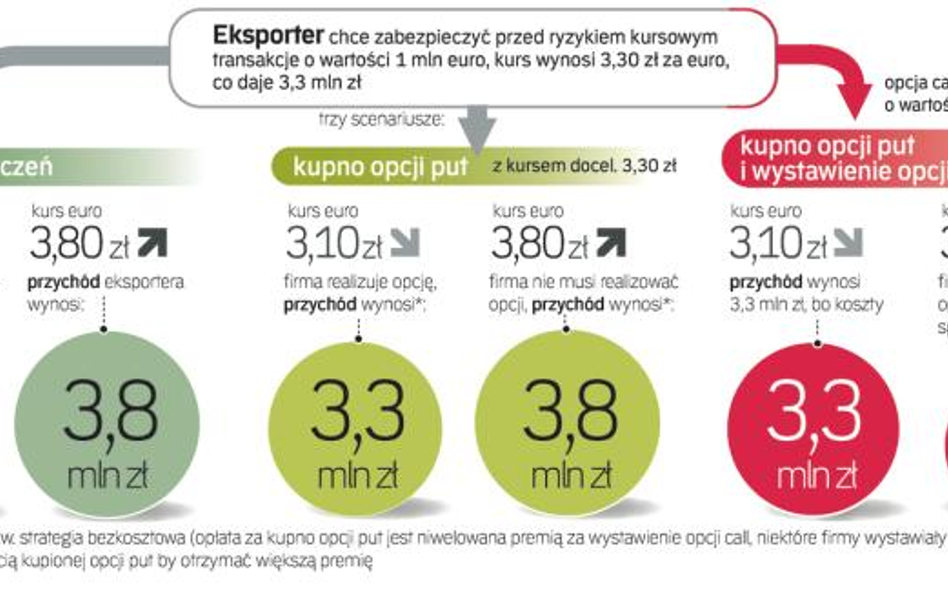 Zabezpieczenia przed zmianami kursowymi za pomocą opcji walutowych