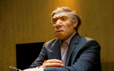 Neandertalczyk w garniturze, fragment ekspozycji Muzeum Neandertalskiego w Mettmann w Niemczech