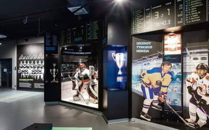 Na ekspozycję TGS składają się głównie wspomnienia hokejowe i piłkarskie, ale są też związane z siat