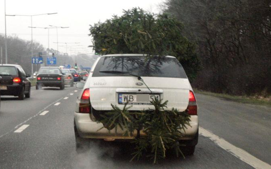 Statystyki drogowe, ruch na drogach - w Wiglię dużo jeździmu