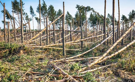 Sygnały o gwałtownych podwyżkach pojawiły się tuż po sierpniowych nawałnicach