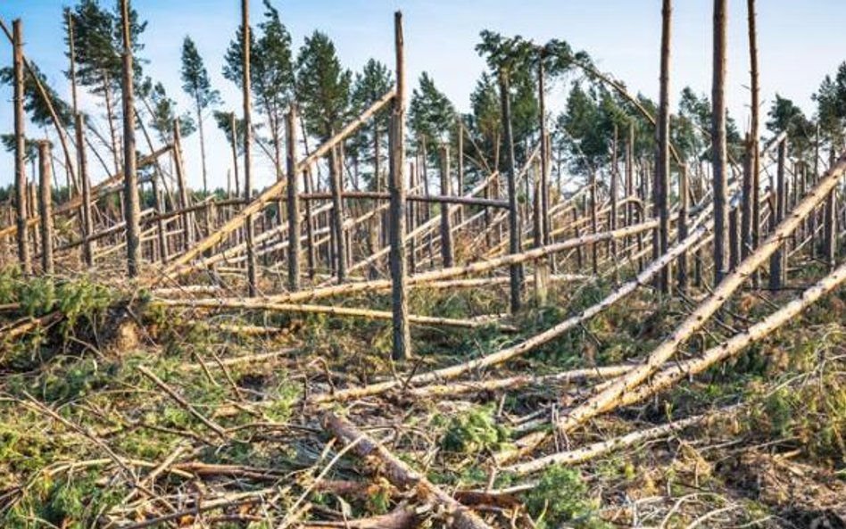 Sygnały o gwałtownych podwyżkach pojawiły się tuż po sierpniowych nawałnicach