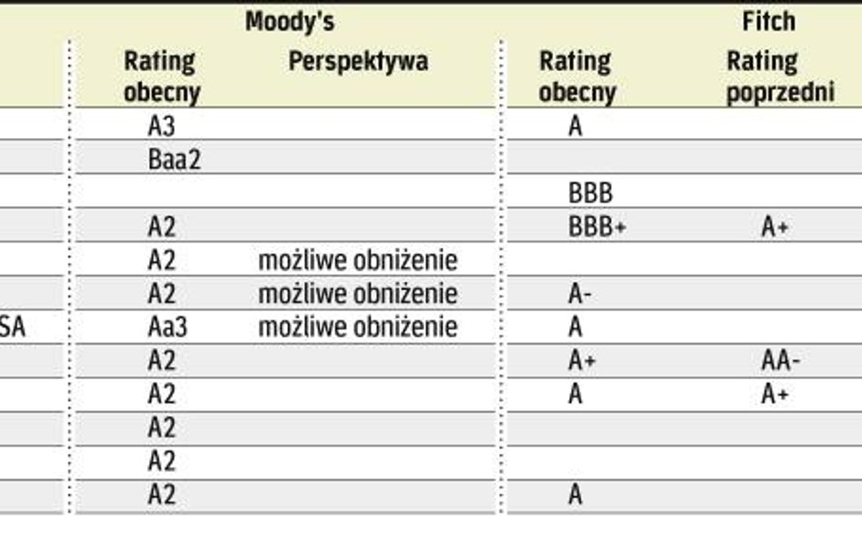 Najwyższa ocena dla banku to potrójne A. Niewiele z nich może się nią pochwalić. Ma ją holenderski R