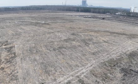 Teren pod fabrykę można przeznaczyć pod inne inwestycje, ale tak władze samorządowe, jak i Katowicka