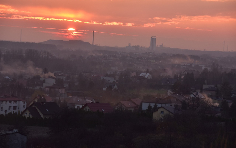 GDOŚ zatrzymuje kopalnię na drodze do złóż Imielin