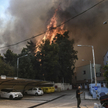 W Grecji nie było tak gorąco i sucho od lat 60. Wybuchają liczne pożary. Na zdjęciu ogień podchodząc