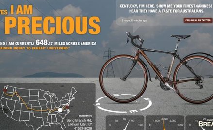 Na stronie yesiamprecious.com możemy przeczytać statystyki: aktualizowane na bieżąco informacje o do