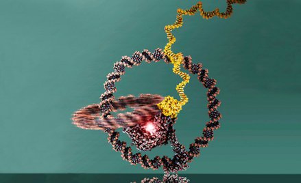 Prawdopodobnie najmniejszy jednoślad świata
