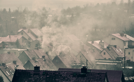 Kwiędacz-Palosz, Warso-Buchanan : Ze smogiem do Strasburga