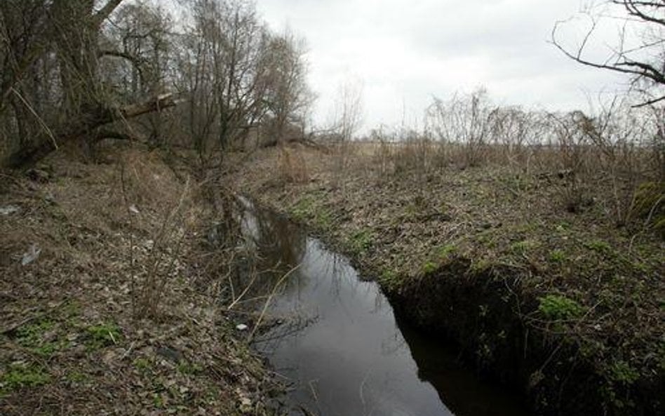 Za rów właścicielka może dostać milion złotych