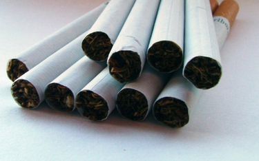 CBŚ udaremniło próbę przemytu 10,5 mln sztuk papierosów