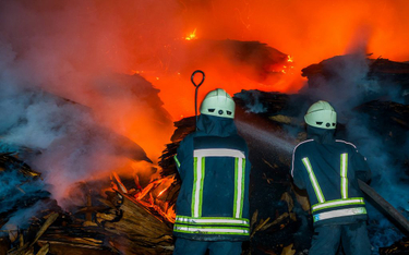 Pożar na przedmieściach Aten. Z żywiołem walczy 130 strażaków