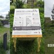 Owady zamieszkały w hotelu przy Bobrowieckiej