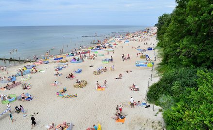 Prawie połowa Polaków planuje wyjazd w tym roku