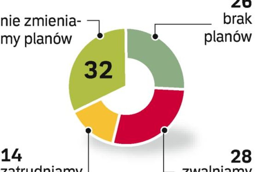 Duże firmy, z co najmniej 250 pracownikami, zatrudniają ok. 2,2 mln ludzi. Płacą o jedną czwartą wię