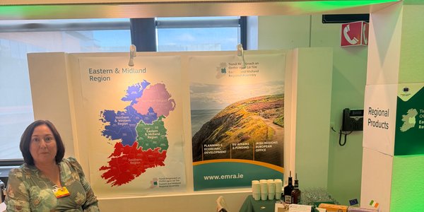 Irlandzka prezydencja w Radzie UE ma także wymiar regionalny