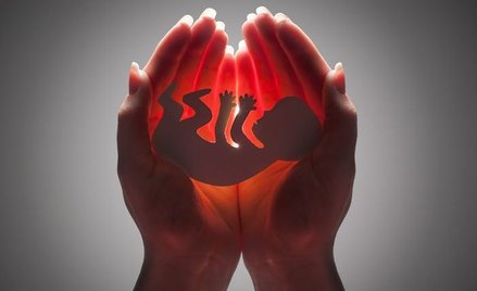 Aborcja: debata o człowieczeństwie