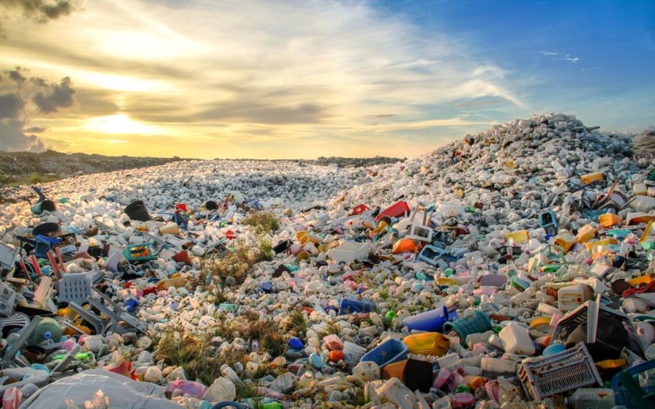 Sieci handlowe podsumowują efekty walki z plastikiem