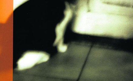 Ian McEwan "Marzyciel"