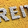 REIT - spółki wynajmu nieruchomości komercyjnych na cele komercyjne