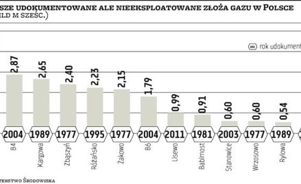 W nietkniętych złożach zalega gaz za 43 mld złotych