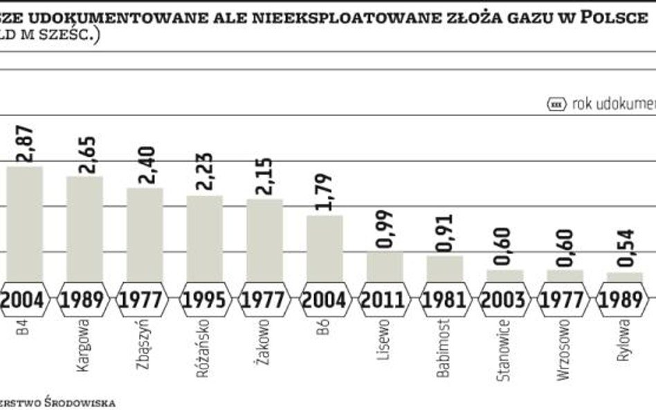 W nietkniętych złożach zalega gaz za 43 mld złotych