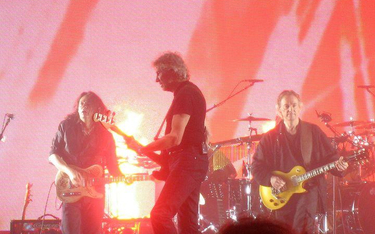 Roger Waters na scenie, fot. wonker
