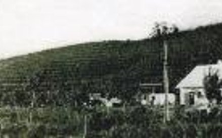 Winnica w Wierzchniakowcach lata 30. XX wiekui