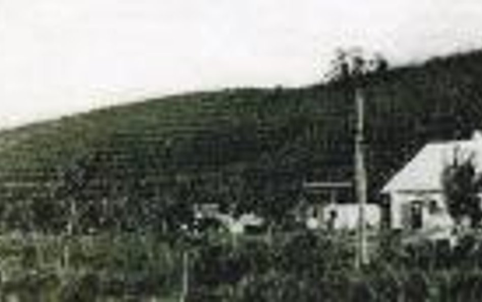 Winnica w Wierzchniakowcach lata 30. XX wiekui