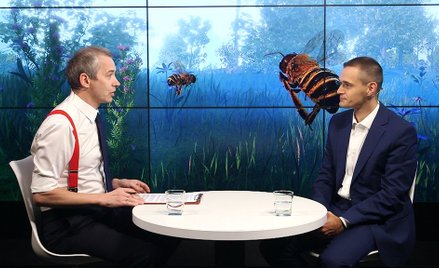 Łukasz Rosiński: Bee Simulator to gra edukacyjna inna niż wszystkie