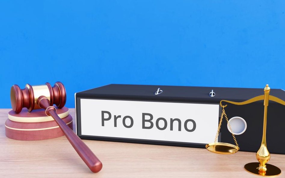 Zwycięzcy konkursu Prawnik Pro Bono