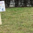 Tarnów: Straż Miejska wierszykami zachęca do sprzątania po psach