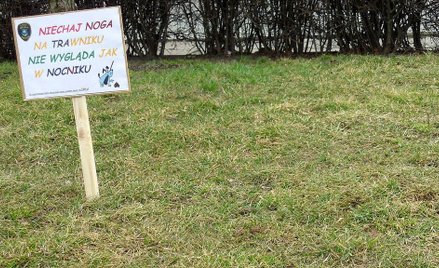 Tarnów: Straż Miejska wierszykami zachęca do sprzątania po psach