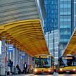 1 listopada na ulice Warszawy wyjedzie łącznie ok. 1300 autobusów linii regularnych i cmentarnych ("