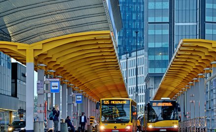 1 listopada na ulice Warszawy wyjedzie łącznie ok. 1300 autobusów linii regularnych i cmentarnych ("
