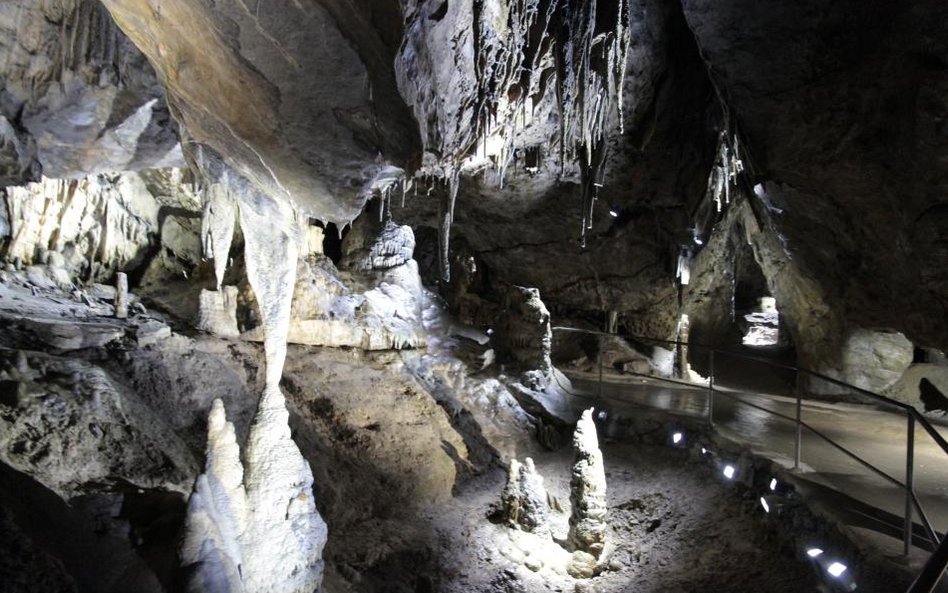 Jaskinie w Han-sur-Lesse w Belgii