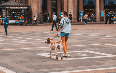 Właściciele psów na Sycylii będą mieli odtąd więcej obowiązków podczas spacerów.