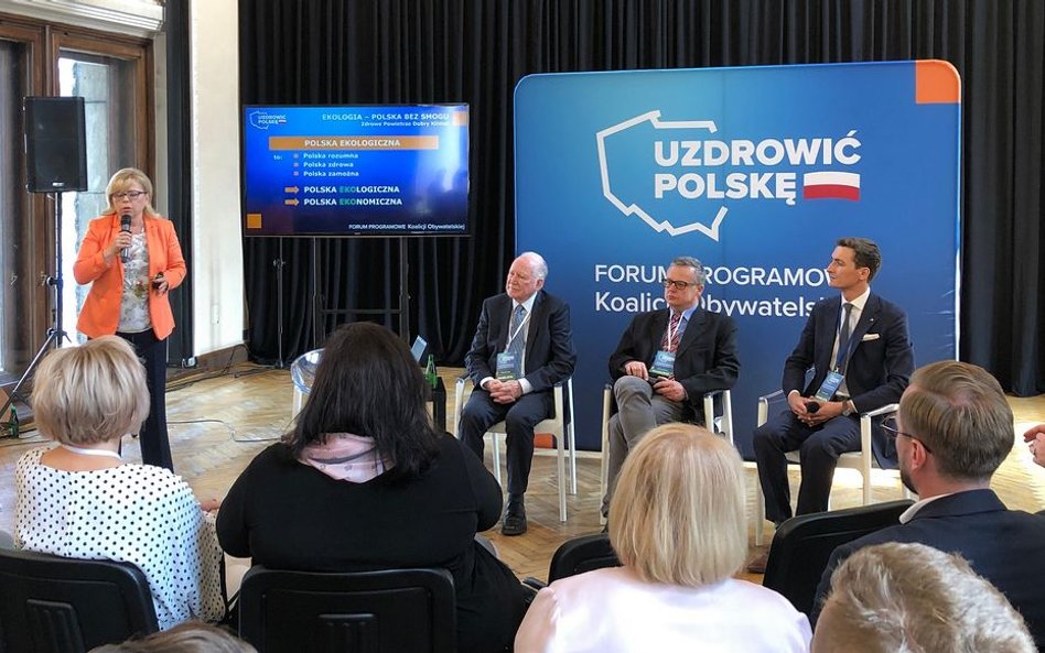 Koalicja Obywatelska: Ocieplenie wszystkich domów do 2030 roku