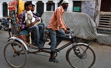 Mój przyjaciel rykszarz – film dokumentalny