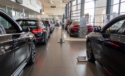 Co najmniej połowa zamówionych raportów autoDNA wykazywała szkody wypadkowe.