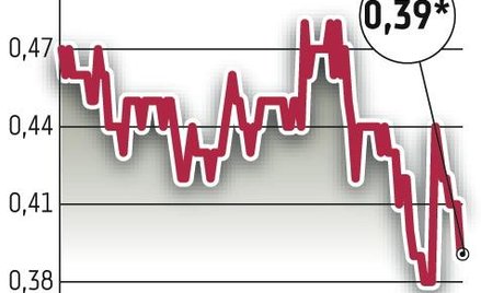 Wikana: Debiuty, a potem dywidenda?