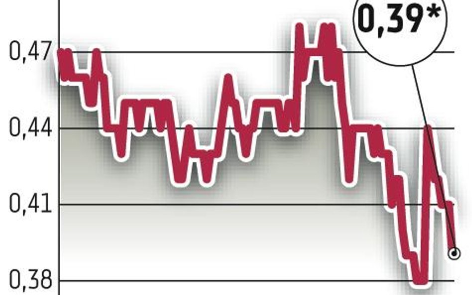 Wikana: Debiuty, a potem dywidenda?