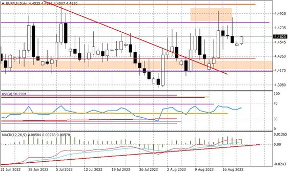 Wykres dzienny EURPPLN