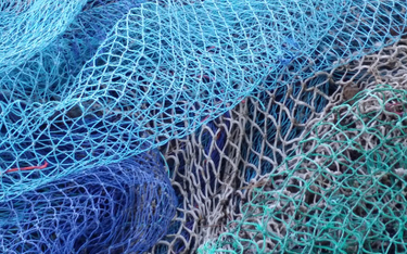 Unia Europejska zakazuje elektrycznych sieci do połowu ryb